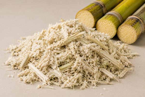 Sugarcane bagasse pulp fibers with fresh sugarcane stalks for molded pulp packaging material